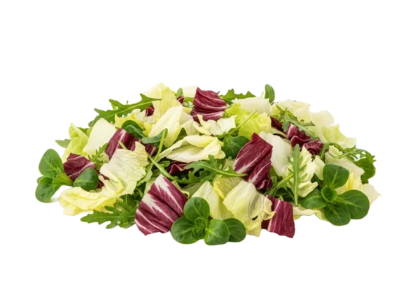 alimento mix 3 1kg-200g Alimento Mix 3 - 250gr