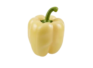 babura bela paprika babura bela paprika