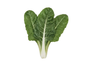 blitva