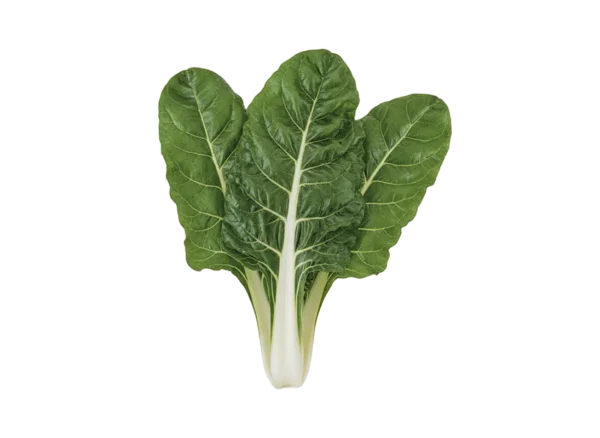 blitva blitva