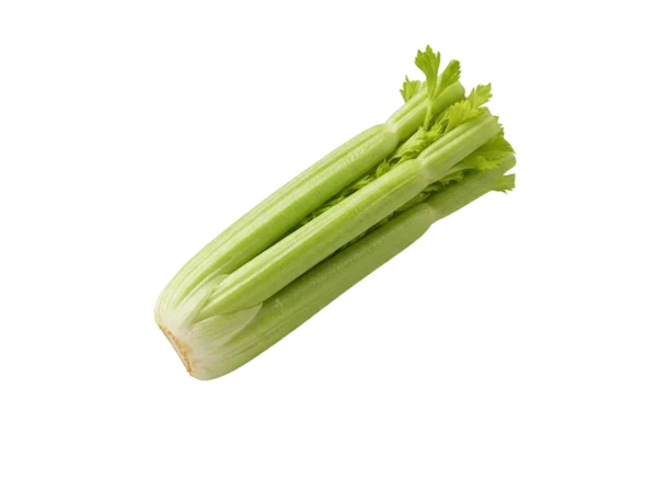 celer stablo celer stablo