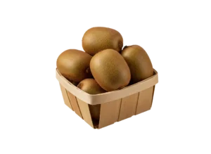 Kivi korpa