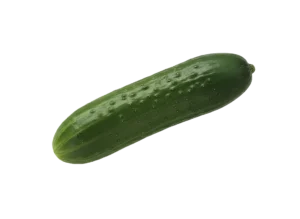 krastavac