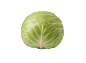 Kupus