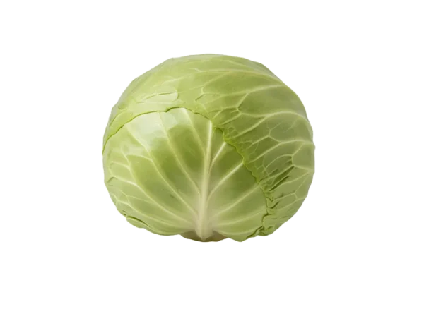 Kupus