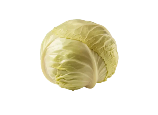 kupus kiseli glavica