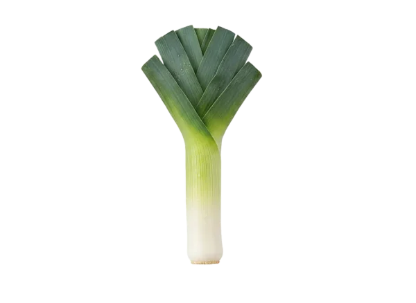 praziluk