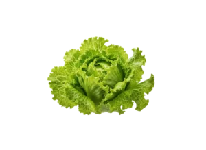 salata lolo bionde salata lolo bionde
