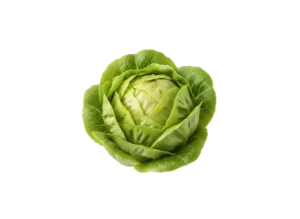 salata puterica salata puterica