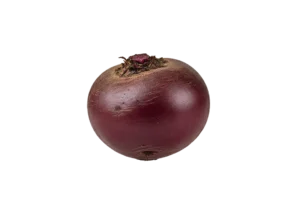 svekla